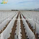  Tissu non tissé en polypropylène 